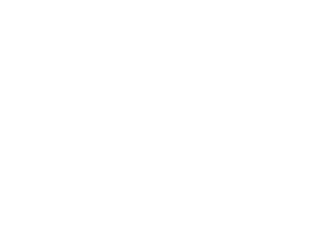 Flameno tours