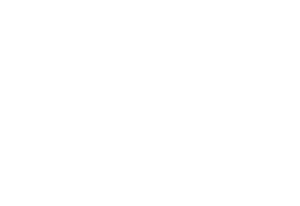 Mantis