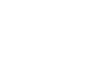 Mayan Monkys